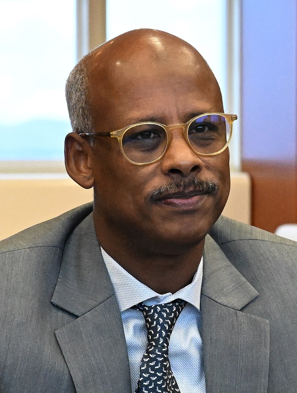 Ahmed Robleh Abdilleh - Current Health Minister; Minister of Health