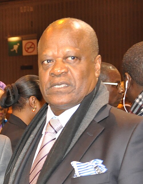Henri Djombo - Ex-Minister & Businessman