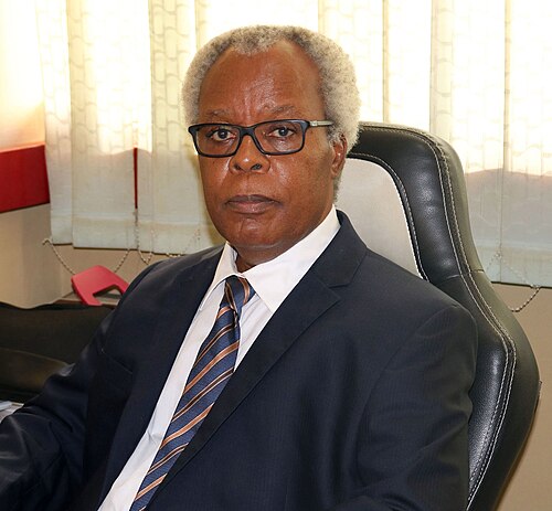 Prof. Oye Gureje - Director; WHO Collaborating Centre