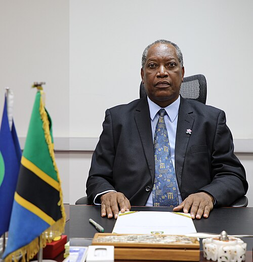 Prof. Palamagamba Kabudi