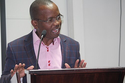 Shingi Munyeza - CEO RioZim