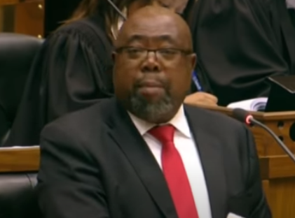 Thulas Nxesi
