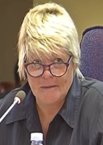 Glynnis Breytenbach - politician