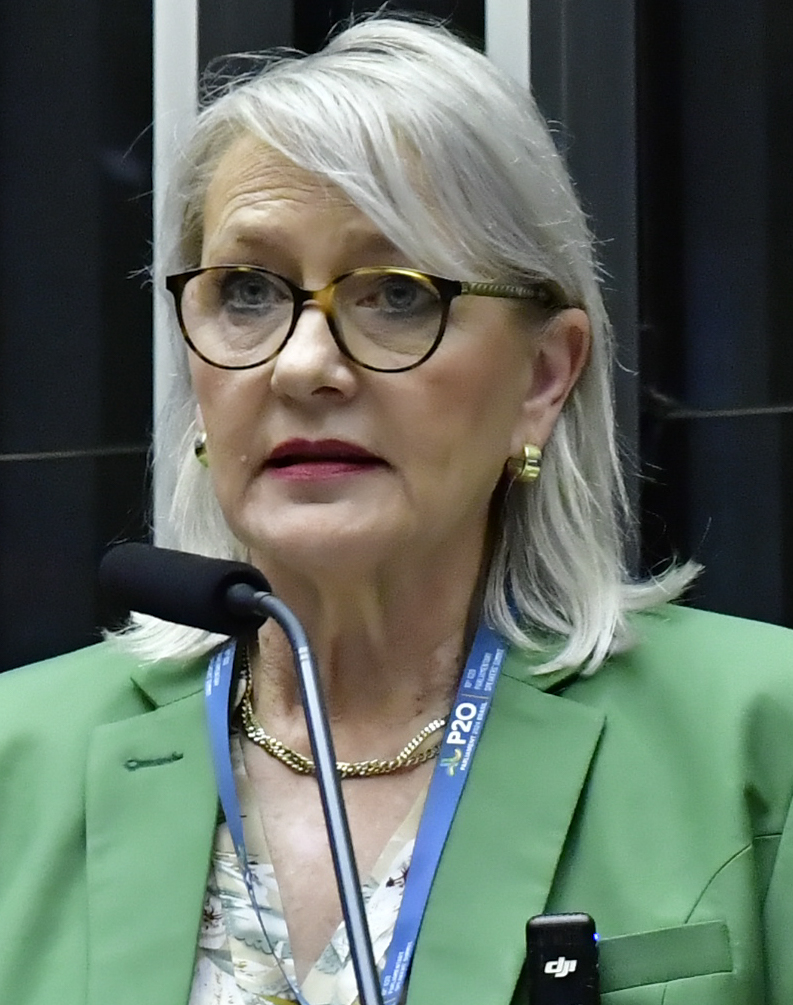 Annelie Lotriet - politician