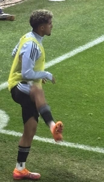 Omar Khedr