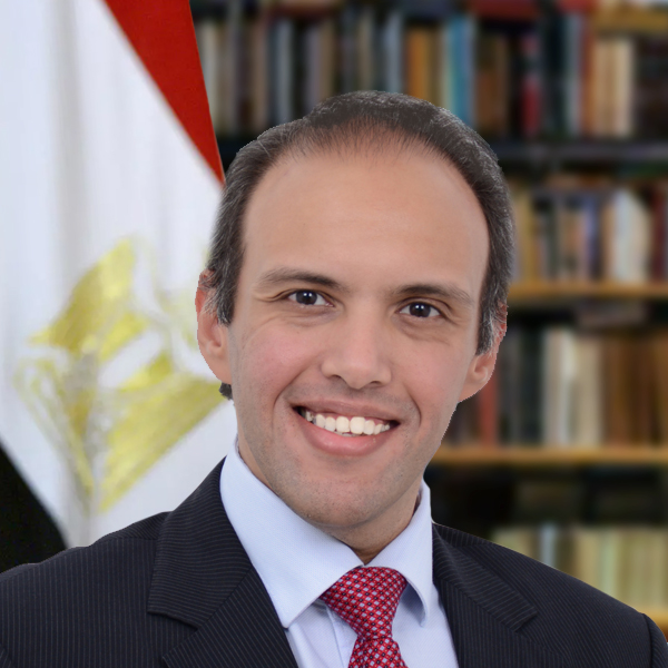 Mohamed Magdy Farid - politician