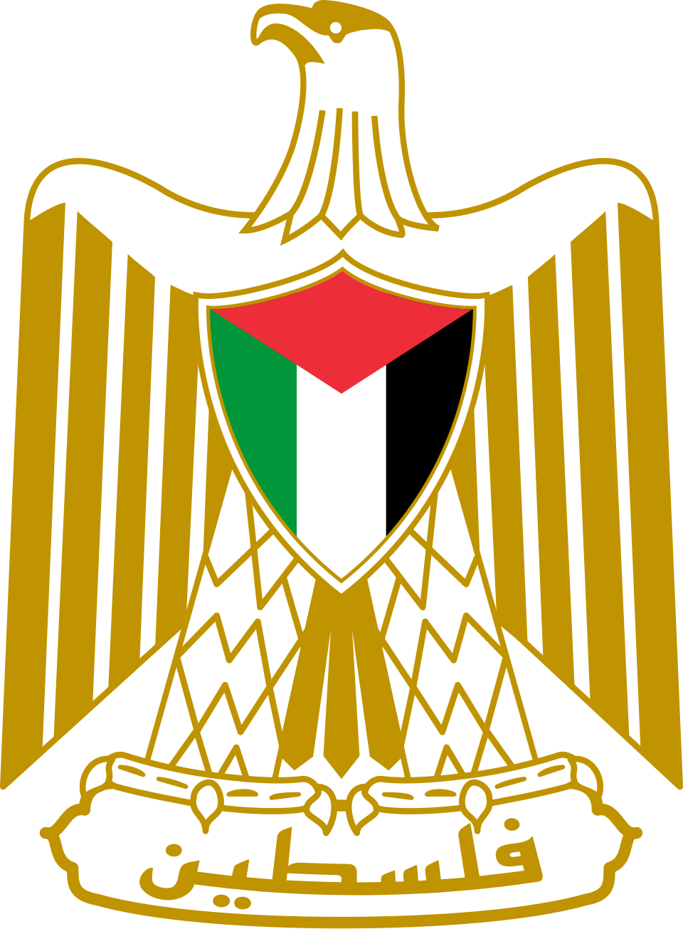 عمرو الشوبكي - Egyptian writer