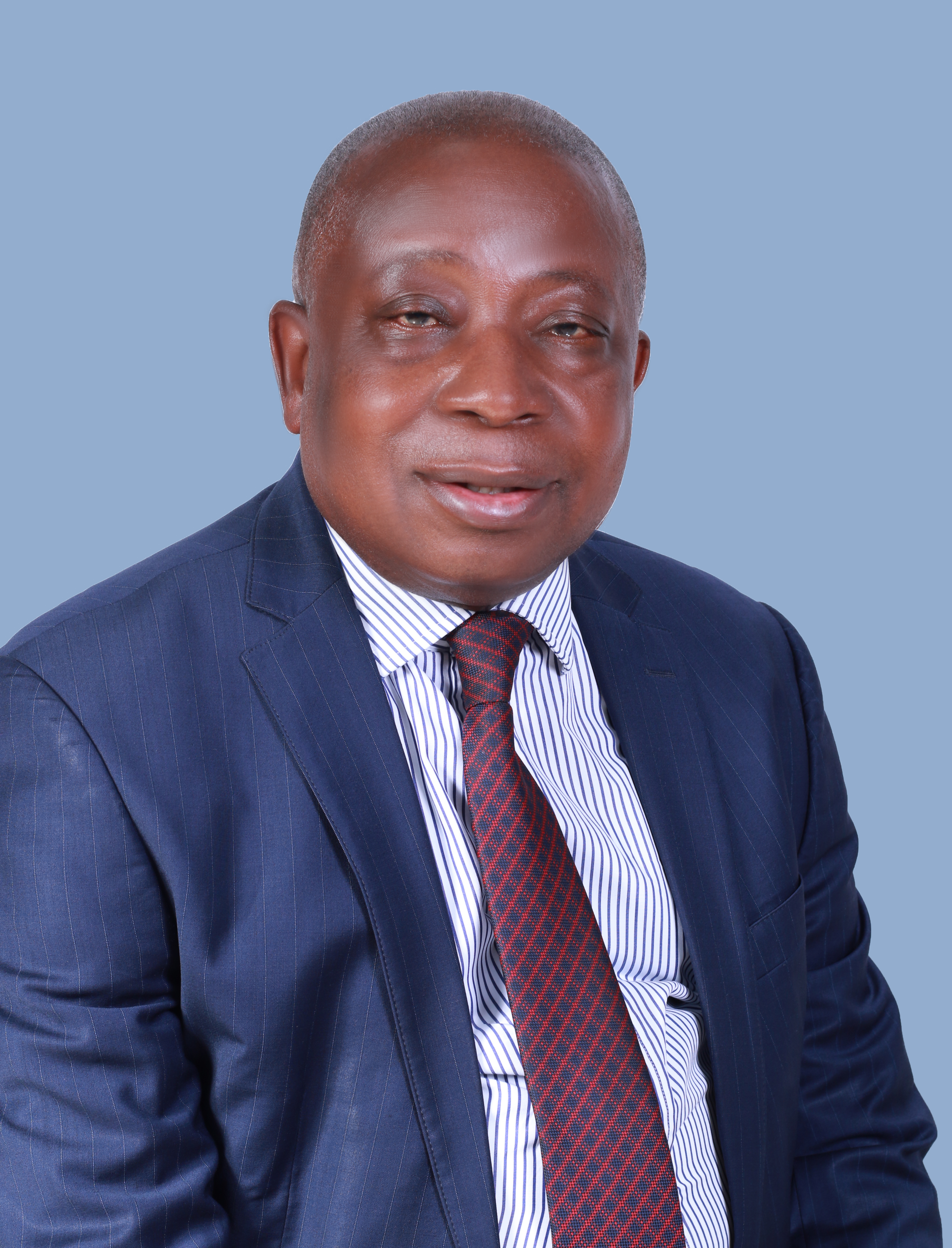 Alfred Agbesi Woyome - businessperson