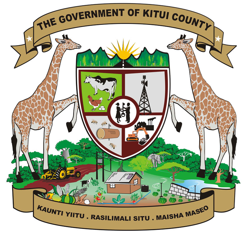 Kiema Kilonzo - politician