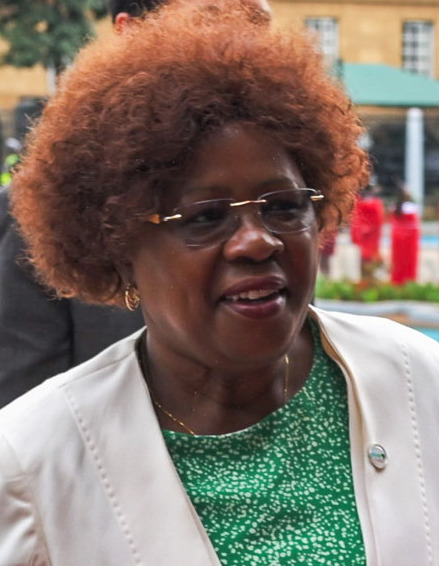 Alice Wahome - politician
