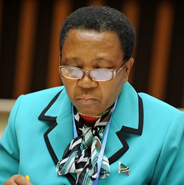 Lucy Sawere Nkya - politician
