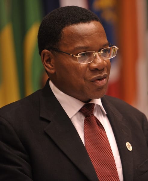 Bernard Membe - minister